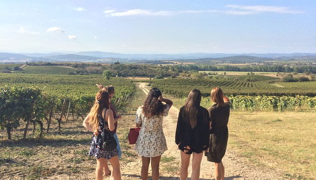 Tour del vino