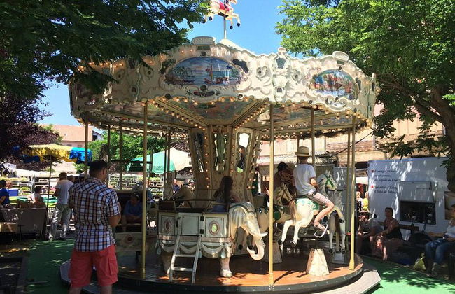 Excursão de um dia a Montségur e Mirepoix. Tour privado de Toulouse. - Foto 6