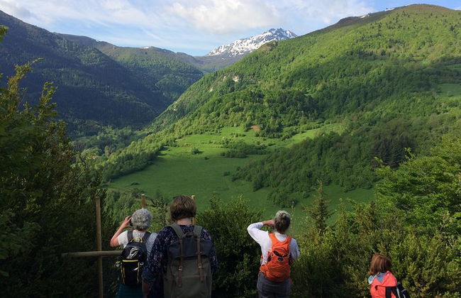 Excursão de um dia a Montségur e Mirepoix. Tour privado de Toulouse. - Foto 3