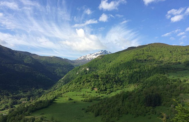Tagestour nach Montségur und Mirepoix. Private Tour ab Toulouse. - Foto 2