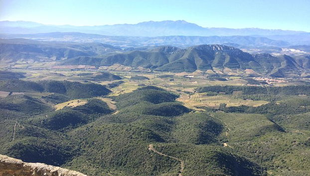 Private day tour to Cucugnan, Quéribus & Peyrepertuse castles. From Carcassonne. - Foto 4