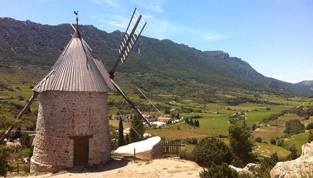 Private day tour to Cucugnan, Quéribus & Peyrepertuse castles. From Carcassonne. - Foto 5