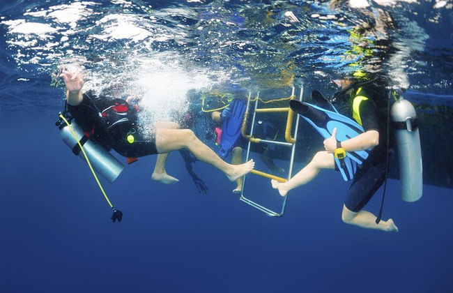 Excursión por el mar a Coral Garden con dos inmersiones y traslados – Marsa Alam - Foto 14