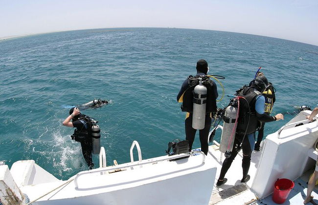 Excursión por el mar a Coral Garden con dos inmersiones y traslados – Marsa Alam - Foto 16