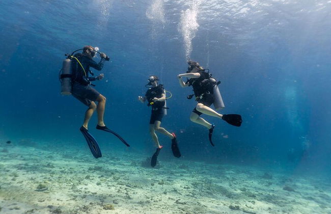Excursión por el mar a Coral Garden con dos inmersiones y traslados – Marsa Alam - Foto 13