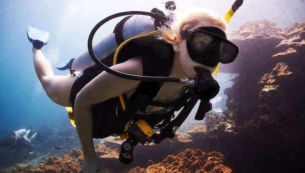 Excursión por el mar a Coral Garden con dos inmersiones y traslados – Marsa Alam