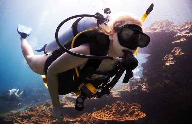 Excursión por el mar a Coral Garden con dos inmersiones y traslados – Marsa Alam - Foto 5