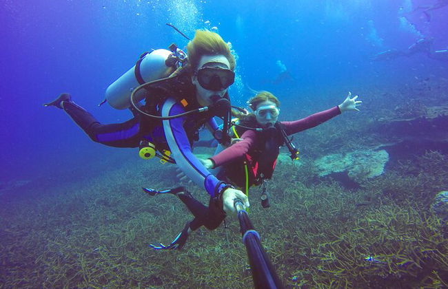 Excursión por el mar a Coral Garden con dos inmersiones y traslados – Marsa Alam - Foto 4