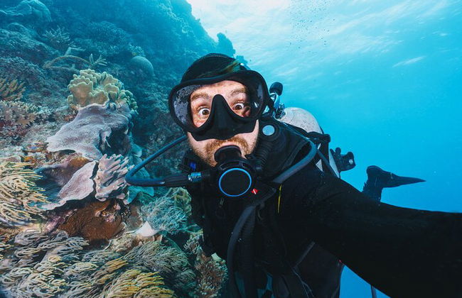 Excursión por el mar a Coral Garden con dos inmersiones y traslados – Marsa Alam - Foto 9