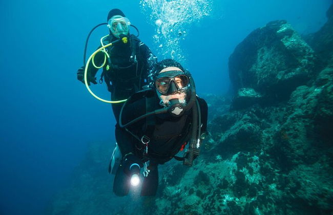 Excursión por el mar a Coral Garden con dos inmersiones y traslados – Marsa Alam - Foto 12