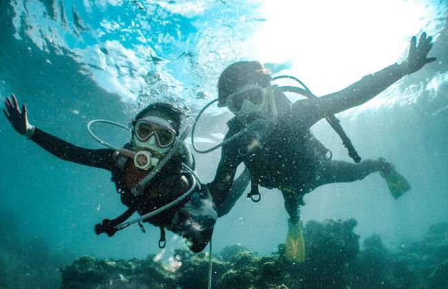 Excursión por el mar a Coral Garden con dos inmersiones y traslados – Marsa Alam - Foto 7