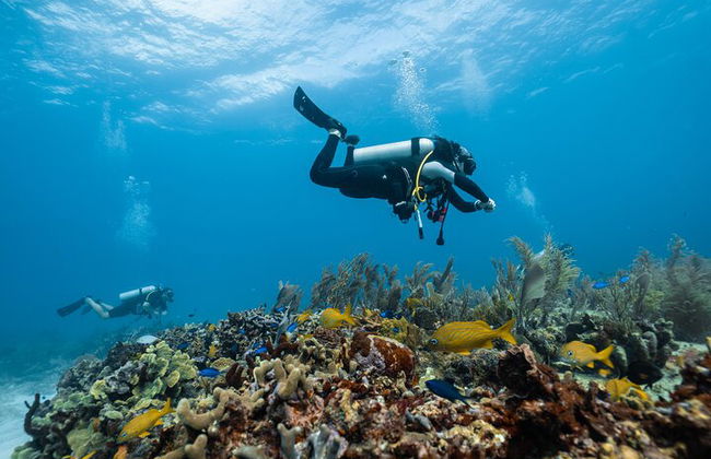 Excursión por el mar a Coral Garden con dos inmersiones y traslados – Marsa Alam - Foto 8