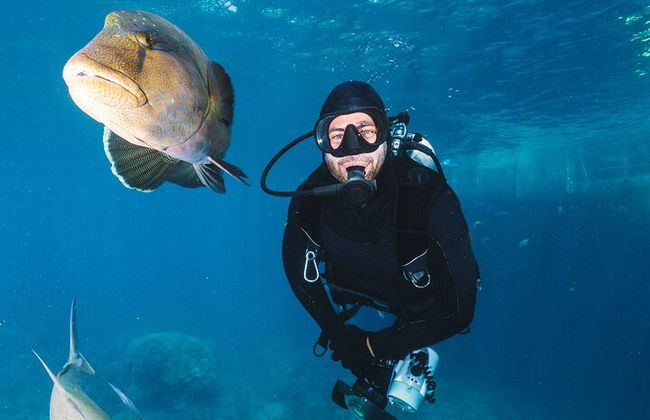 Excursión por el mar a Coral Garden con dos inmersiones y traslados – Marsa Alam - Foto 10