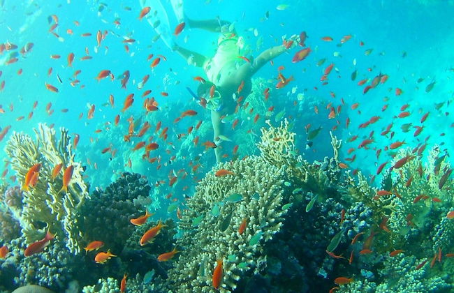 Snorkel nas ilhas Qulaan - Foto 2