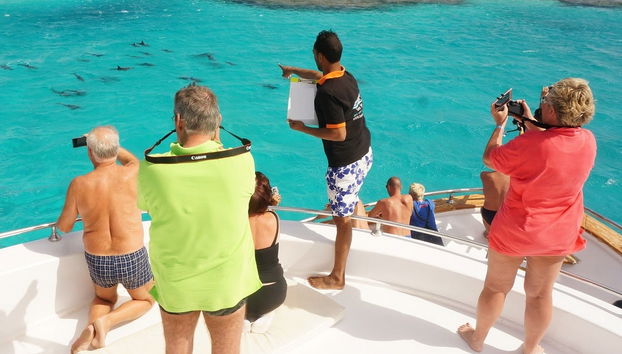Sataya Reef Boat Trip + Snorkeling with Dolphins - Photo 2