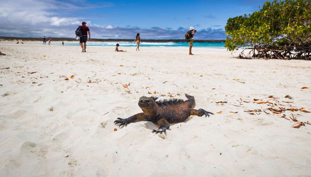 North Galapagos Islands 4-Day Cruise - Foto 3