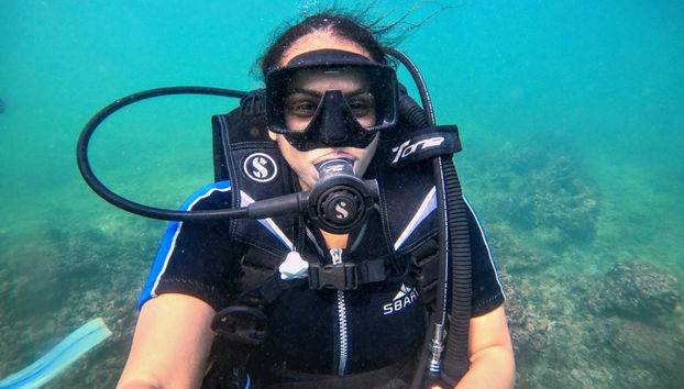 Learn how to scuba dive
