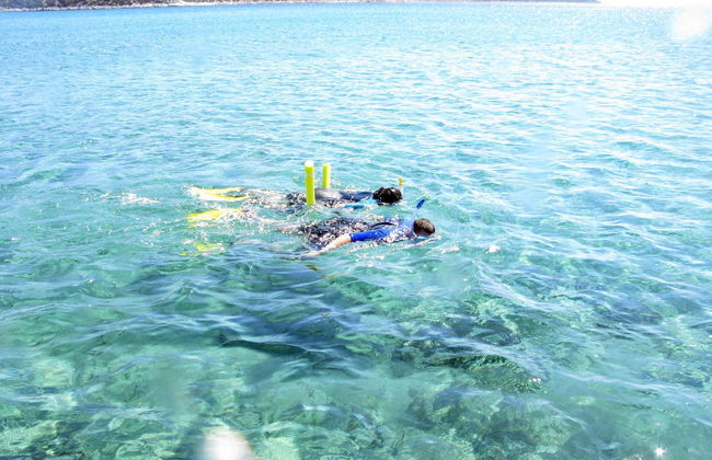 Snorkel na baía de Schinias - Foto 6