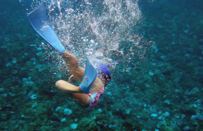 Snorkeling & Dolphin Watching in Lanai - Photo 4