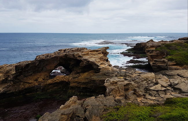 Tour dell'isola di Rottnest - Foto 7