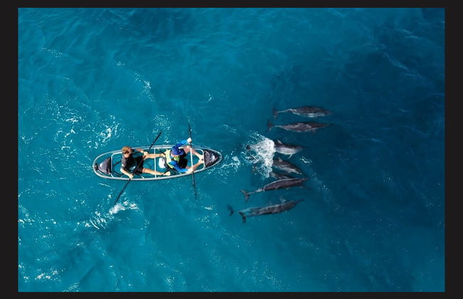 Tour en kayak transparente por Fernando de Noronha - Foto 5