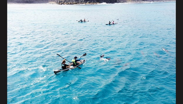 Tour en kayak transparente por Fernando de Noronha - Foto 3