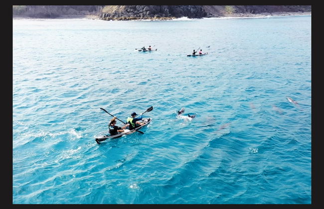 Tour en kayak transparente por Fernando de Noronha - Foto 3