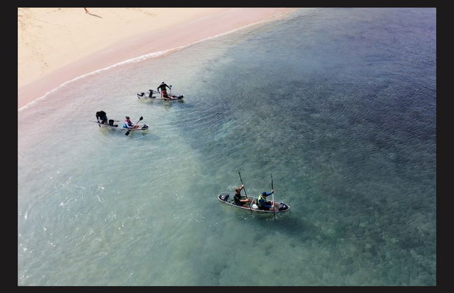 Tour en kayak transparente por Fernando de Noronha - Foto 6
