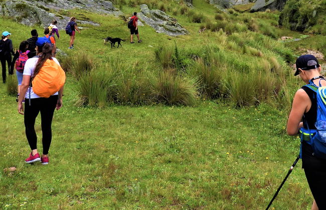 Los Gigantes Private Hiking Tours - Photo 11