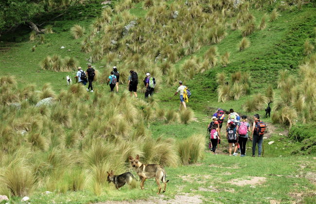 Los Gigantes Private Hiking Tours - Photo 6
