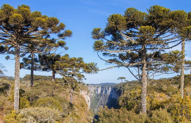 Excursão ao cânion Itaimbezinho - Foto 6