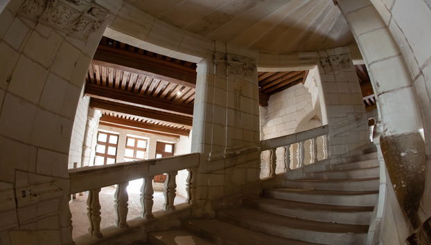 Excursión a los castillos de Chambord y Chenonceau - Foto 5