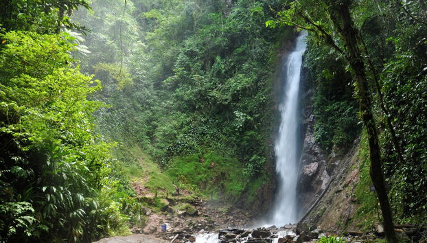 Day Trip to San Ramón & the Toterani Basin - Foto 3