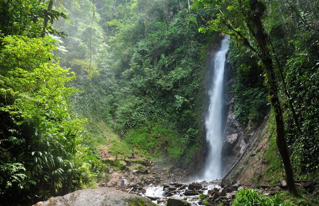 Excursión a San Ramón y cuenca de Toterani - Foto 3