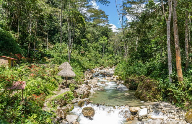 Excursión a San Ramón y cuenca de Toterani - Foto 1