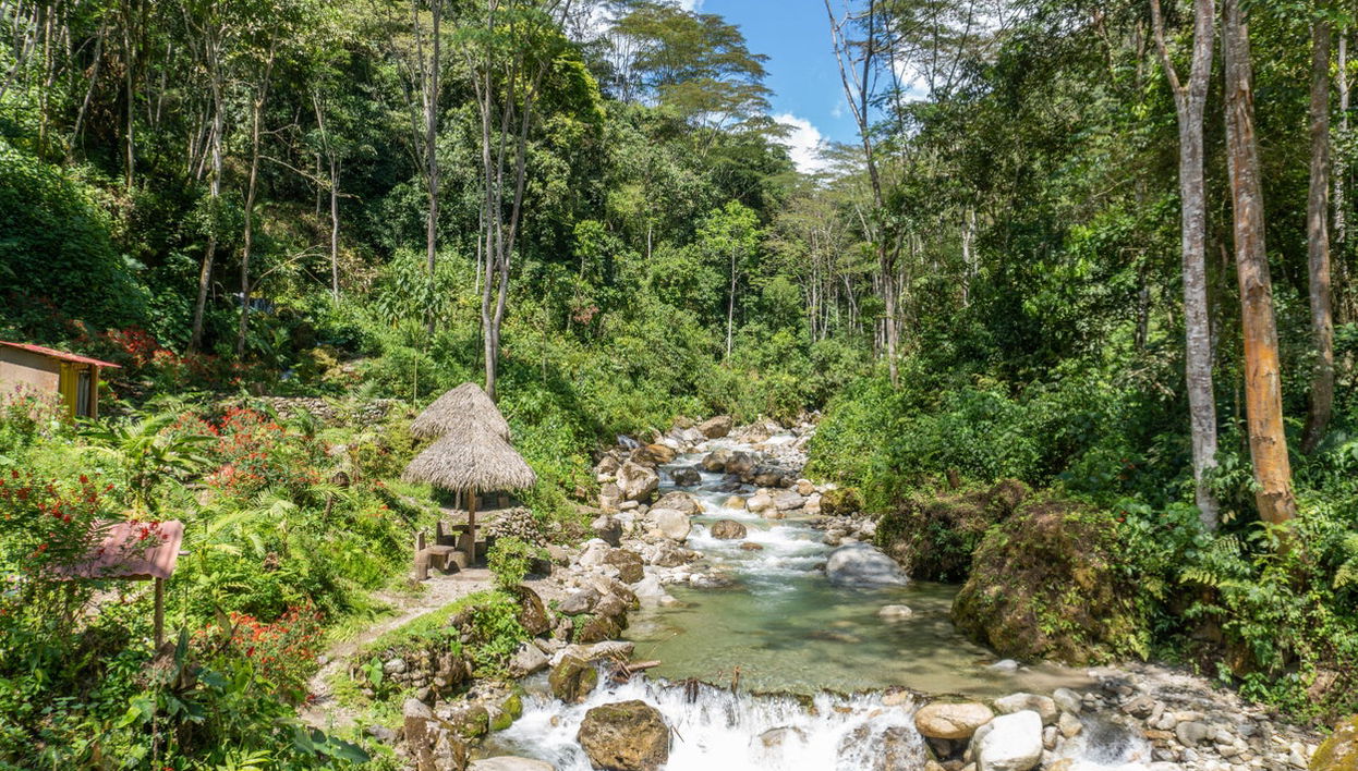Chanchamayo Valley Tour - Photo 1