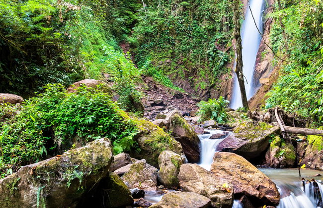 Excursión a San Ramón y cuenca de Toterani - Foto 5