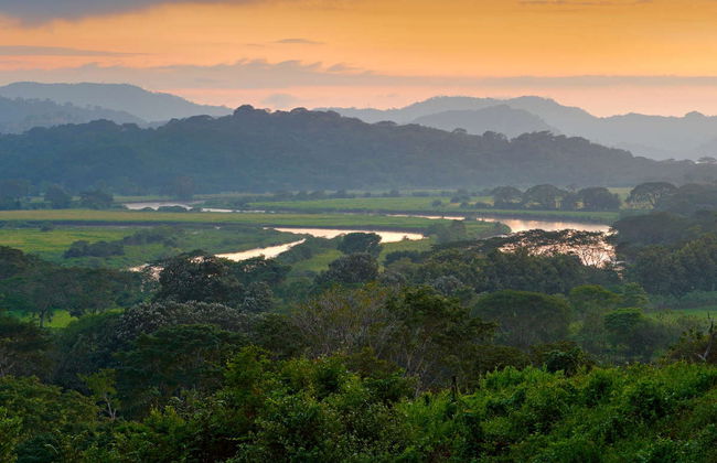 Avistamiento de cocodrilos en el río Tárcoles - Foto 1