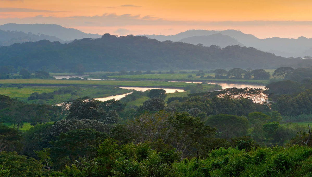 Avistamiento de cocodrilos en el río Tárcoles - Foto 1