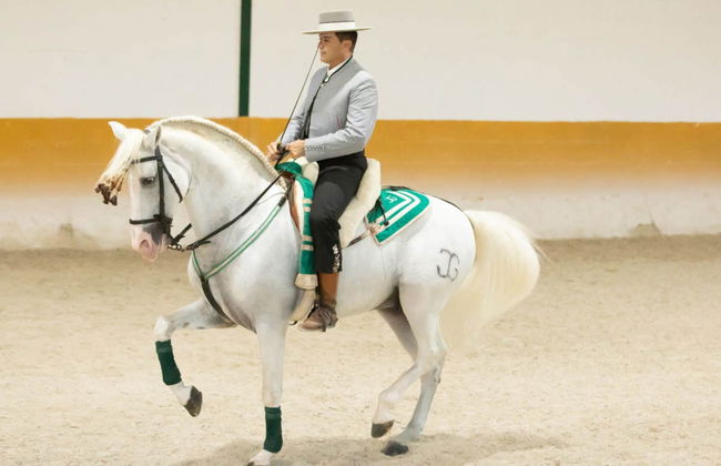 El Ranchito Horse Show - Photo 2