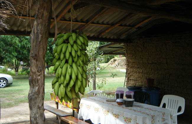 Tour gastronómico por Huatulco - Foto 7