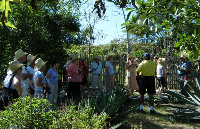 Tour gastronómico por Huatulco - Foto 4