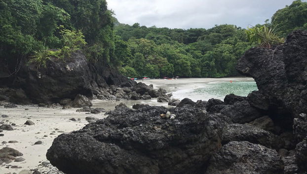 Balade en catamaran et snorkeling à Manuel Antonio - Photo 3