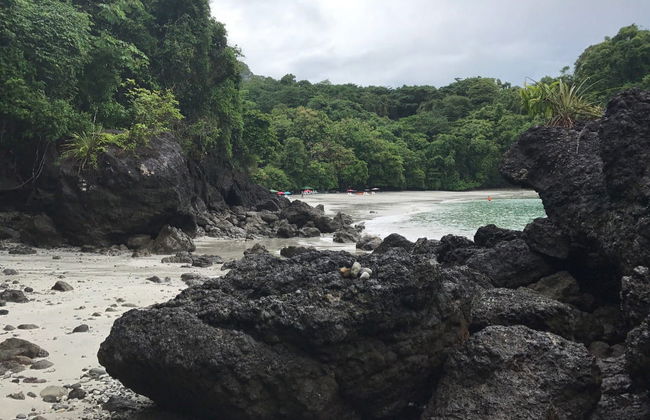 Snorkelling Cruise in Manuel Antonio - Foto 3