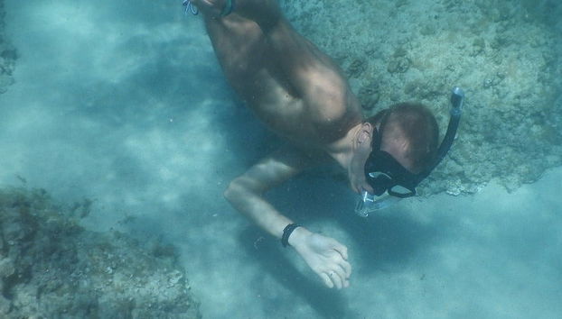 Snorkel no golfo de Orosei - Foto 5