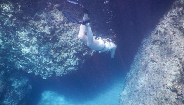 Snorkel no golfo de Orosei - Foto 4