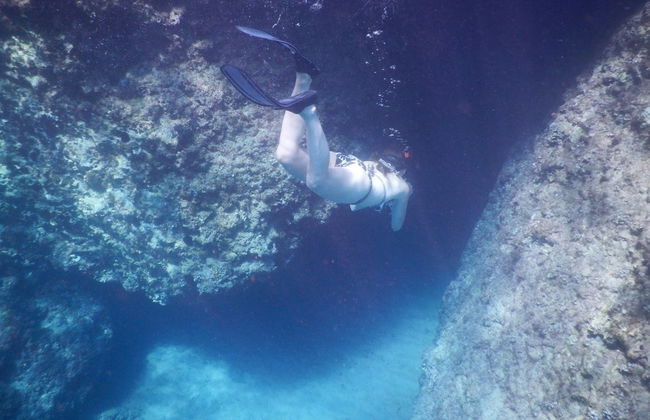 Snorkeling dans le golfe d'Orosei - Photo 4