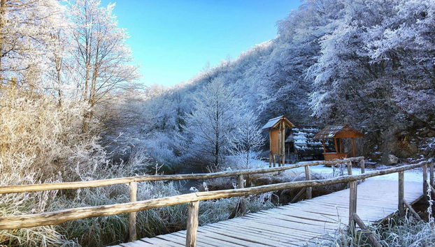 Plitvice Lakes Day Trip - Foto 4