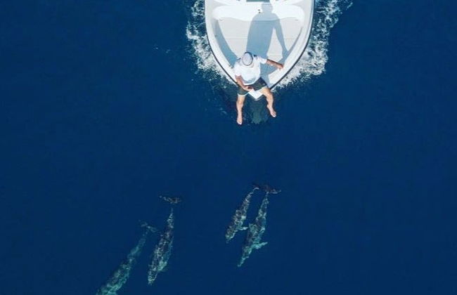 Alquiler de barco con patrón en Maafushi - Foto 8