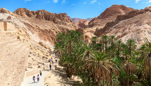 Tamerza, Chebika & Mides Excursion - Photo 4